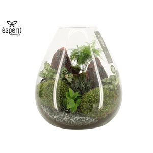 90761: Landscape arrangement