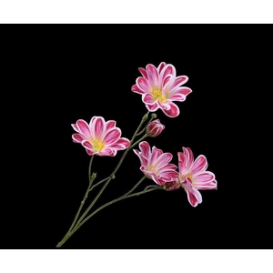 MARGRIET STEEL BEAUTY 65 cm