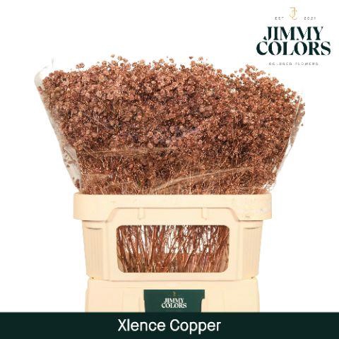 <h4>Gyps Xlence L80 Mtlc. Copper</h4>