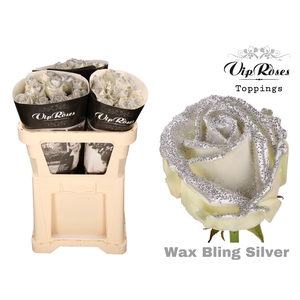 R Gr Wax Bling Silver X20