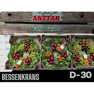 KRANS SIERFRUIT H%