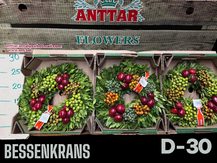 <h4>KRANS SIERFRUIT H%</h4>