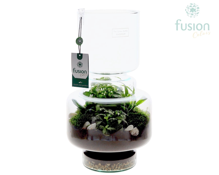 <h4>Green Bottle Lotte Large met arrangement</h4>