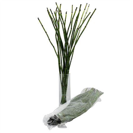 <h4>BAMBOE VACUUM X 4</h4>