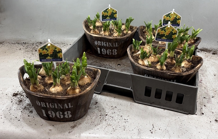 <h4>ARR N TETE A TETE</h4>