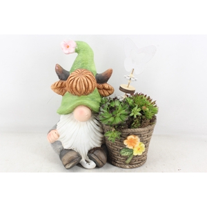 arr4 Semp JS - Kabouter groen muts met mand