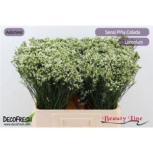 Lim Sin Sensi Pina Colada