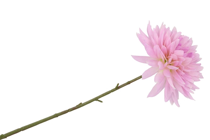 <h4>Silk Dahlia Pointy Light Purple 65cm</h4>