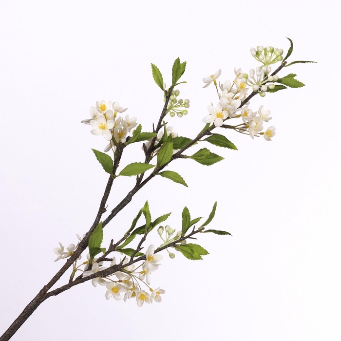 <h4>Jasminum Spray Cream FL440252CRM</h4>