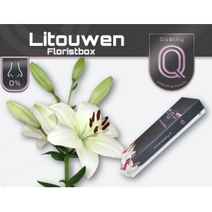 LI LA LITOUWEN FLORISTBOX 4+