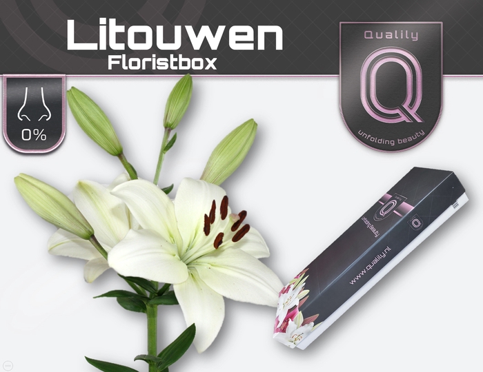 <h4>LI LA LITOUWEN FLORISTBOX 4+</h4>