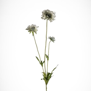 AF Scabiosa x3 L63cm White