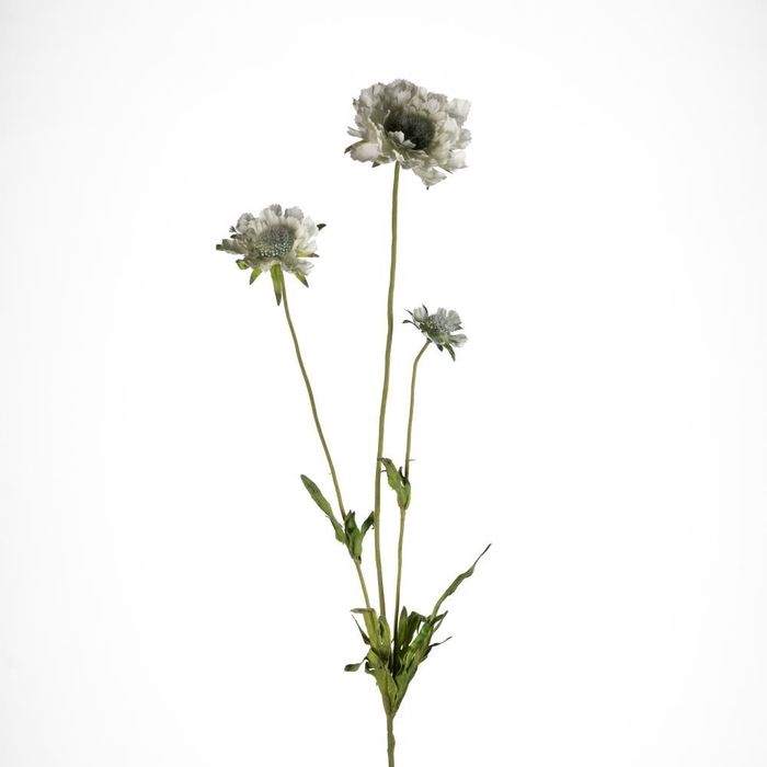 <h4>AF Scabiosa x3 L63cm White</h4>