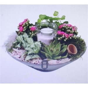 2665 Roze Glas 28 Kaars