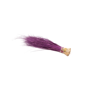 Beargrass Lilac