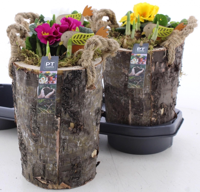 <h4>ARR PL IN SCHAAL</h4>