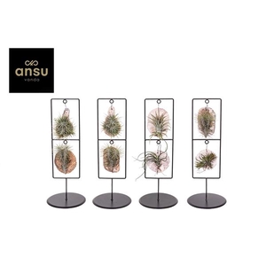 Tilly Tiles in Design Frame Double