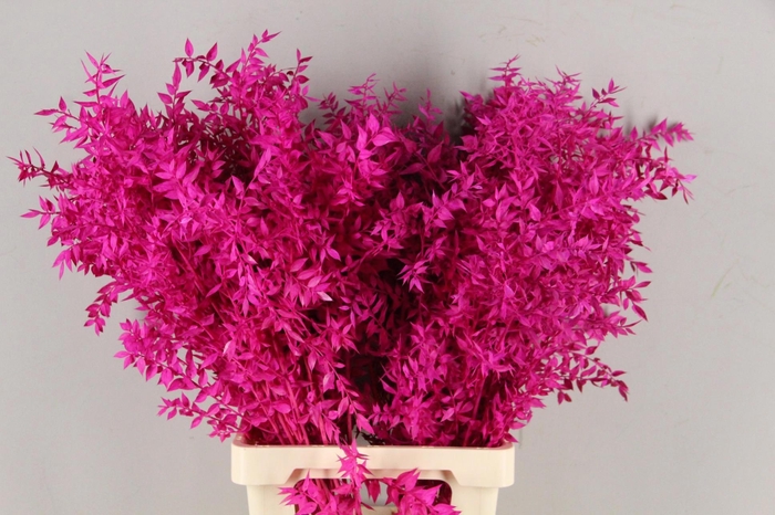 <h4>DROOGBL BEWERKT H%</h4>