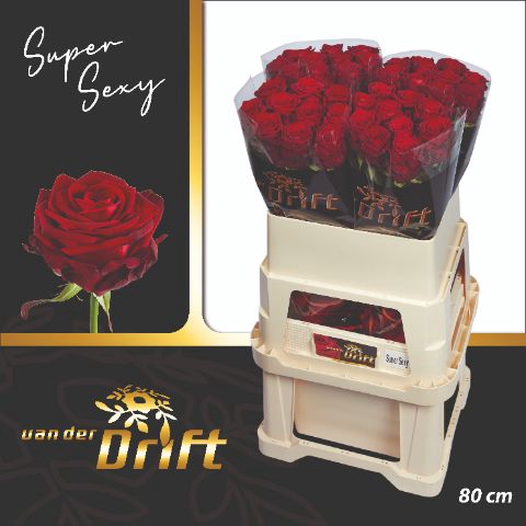 <h4>R Gr Red Naomi Super Sexy Drift</h4>