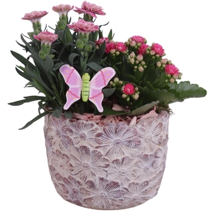 Spring Flower Arr. Outdoor Ceramic Pot with Flower Deco Ø14cm 2P