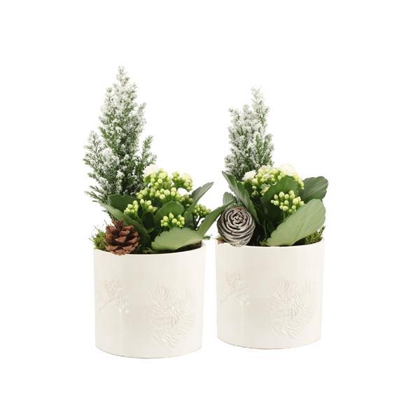 <h4>61689: X-mas arrangement</h4>