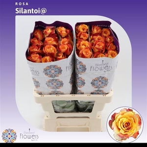 R GR SILANTOI@