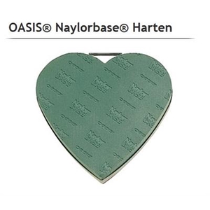 OASIS 11-08113 HART 43X46 X2 P.DS
