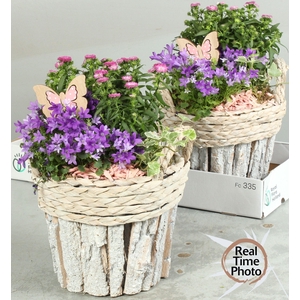 ARR TUINPLANTEN