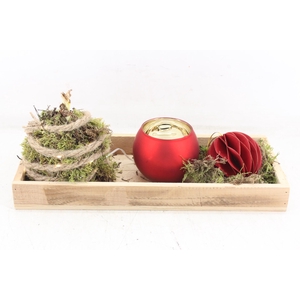 arr4 Amaryllis MB - Hout tray Led + bolwax RED