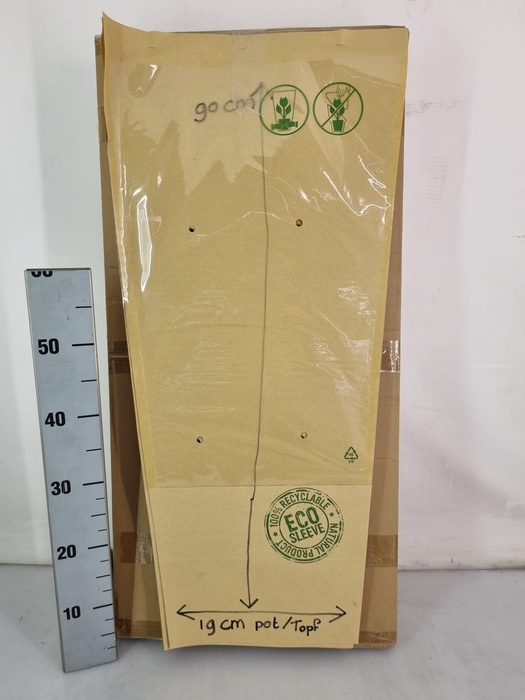 <h4>DIVERSEN H%</h4>