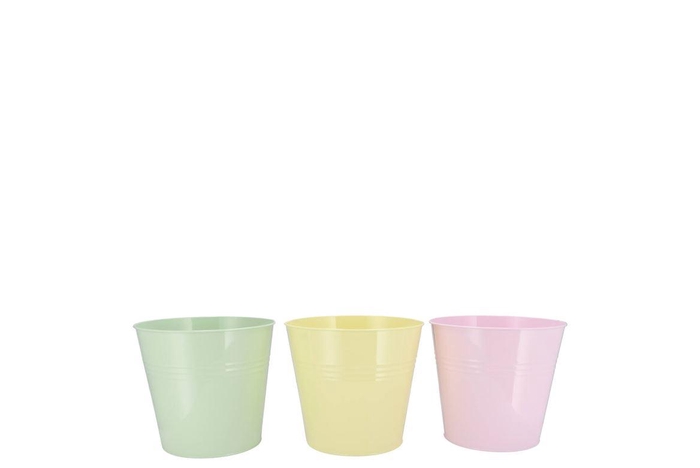 <h4>Zinc Dreamy Pastel Mix Bucket Basic Ass 13x12x9cm</h4>
