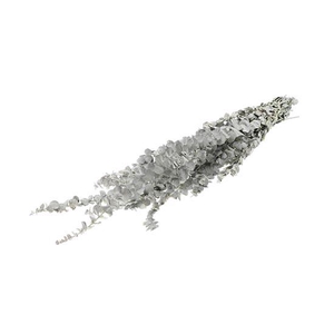 Bunch Eucalyptus Baby 150g L60/75