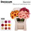 Germini Mix Exclusive Water