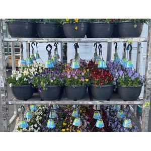 Vio Co End Gem - aanbieding!