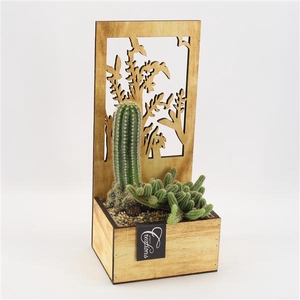 CTCR-2525 Cactus Essentials