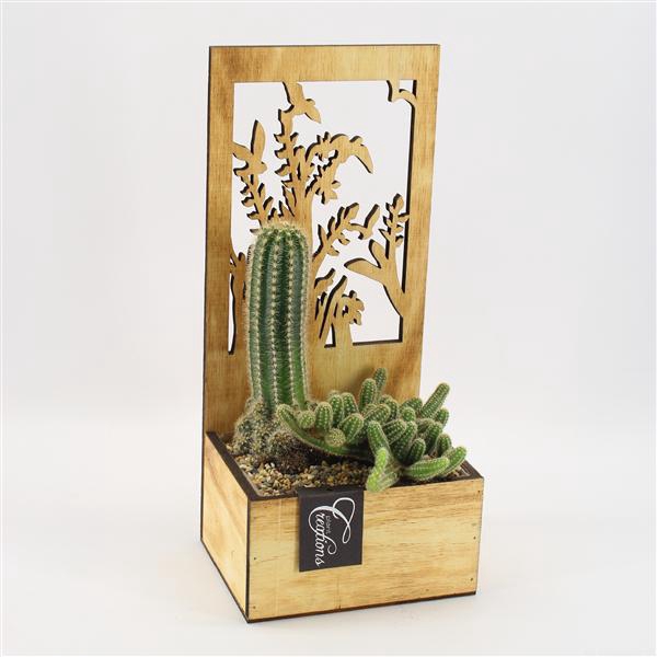 <h4>CTCR-2525 Cactus Essentials</h4>