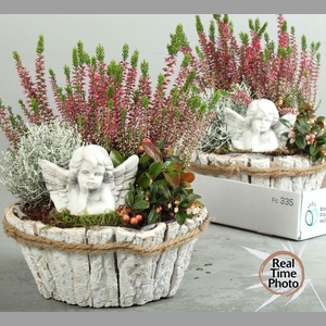 ARR TUINPLANTEN