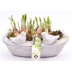 Cem. voederschaal ovaal 25x12cm