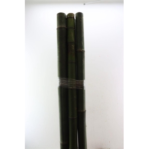 Bamboe 60-70 2meter