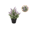 Silk Lavender Purple In Pot Black L 33x33x49cm