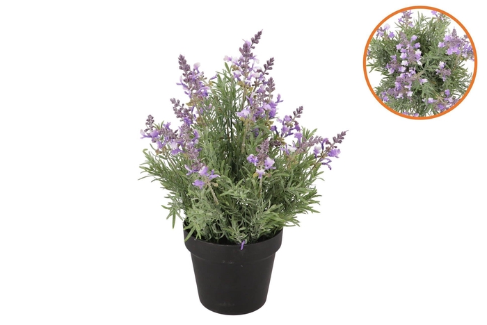 Silk Lavender Purple In Pot Black L 33x33x49cm