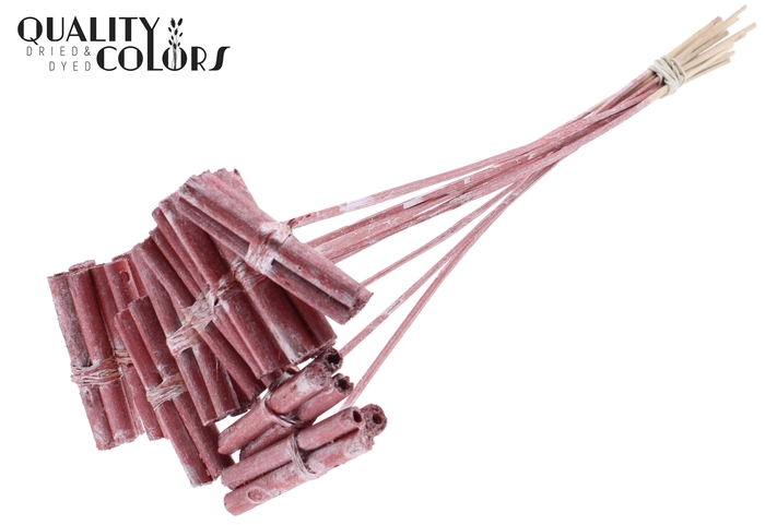 Jute Stick Posy on stem Metallic Red