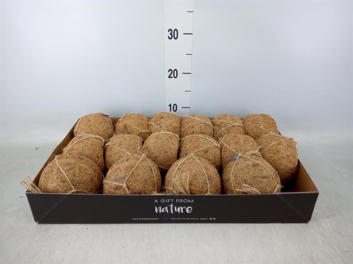 <h4>Pot   ...versierd H%</h4>