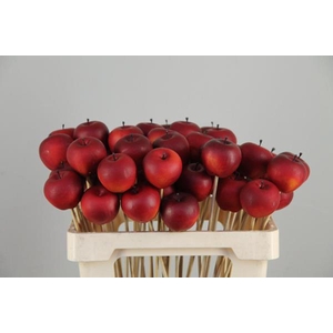 Stick Apple 4cm/medium Red