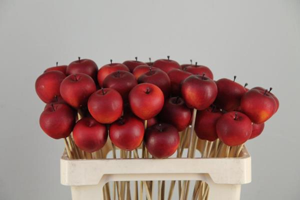 Stick Apple 4cm/medium Red