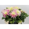 Dahlia Just Married