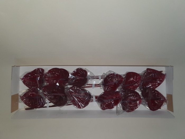 <h4>ANTH A NERO</h4>