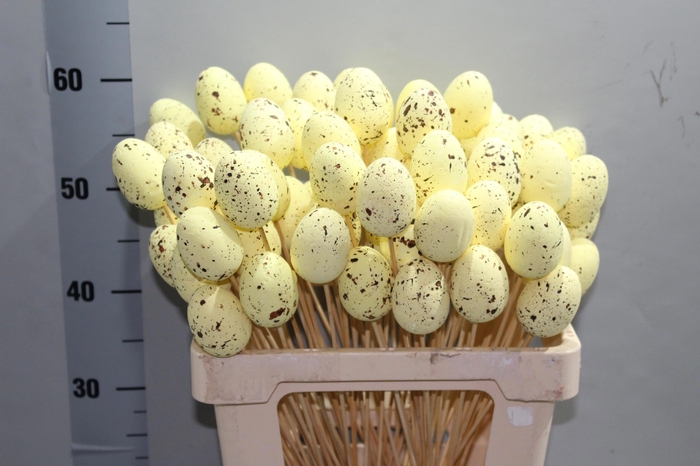 <h4>KIEVITSEI OP STOK H%</h4>