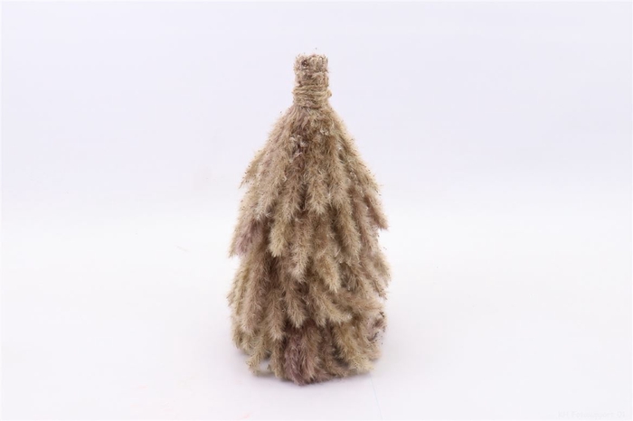 <h4>Tree Pampas H30d25</h4>