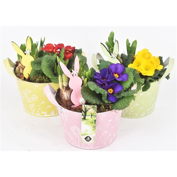 <h4>Zink schaal decor mix kl 15.5cm</h4>